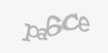 Защитный код