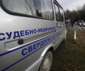 В Кушве годовалая девочка утонула в искусственном пруду