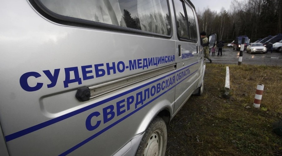 В Кушве годовалая девочка утонула в искусственном пруду