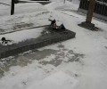 Родителей детей, потушивших Вечный огонь в Кушве, привлекли к ответственности