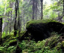 Кушва туристическая. Гора Болтун