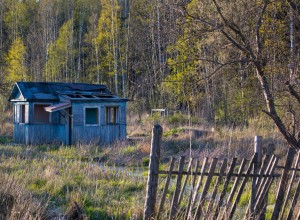 В России предложили изымать дачи и участки за долги