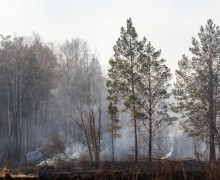 В Свердловской области начался противопожарный сезон. Указ губернатора