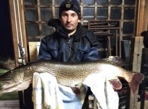 Рыбак из Кушвы поймал «царь-щуку»