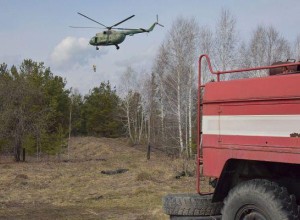 За сутки в Свердловской области потушили девять природных пожаров