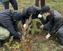 Сад Памяти в Верхней Туре 