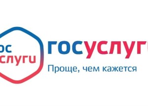 Сведения об оказании государственных услуг