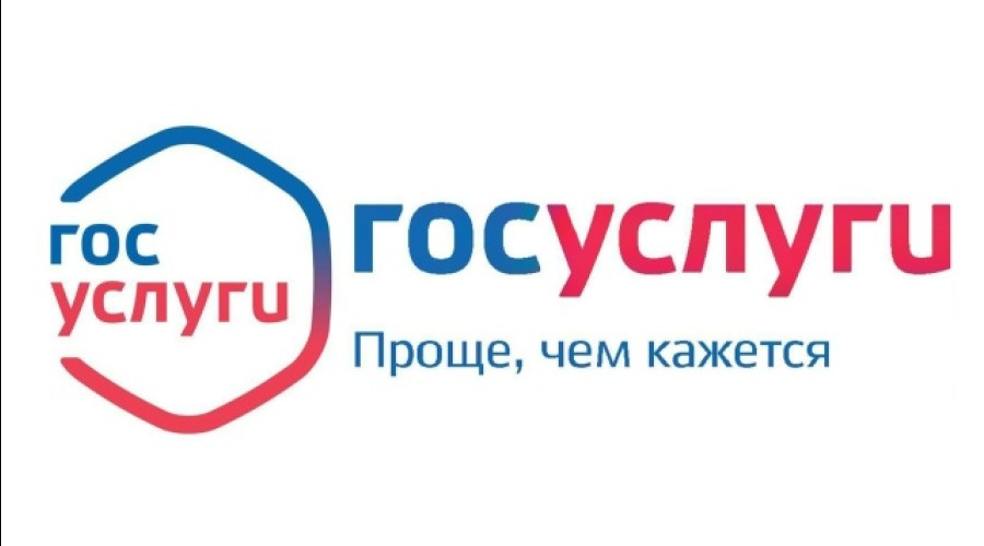 Сведения об оказании государственных услуг