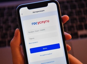 Россиянам разрешат использовать электронный паспорт в мобильном приложении Госуслуги для удостоверения личности 