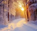 2025 год самый теплый на Урале почти за 200 лет