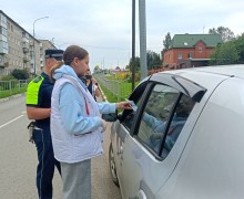 Мероприятия совместно с Движением Первых
