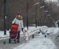 В Госдуму внесут законопроект о выдаче до 5% маткапитала наличными всем семьям