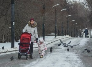 В Госдуму внесут законопроект о выдаче до 5% маткапитала наличными всем семьям