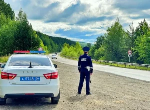 Оперативно-профилактическое мероприятие «Безопасная дорога»