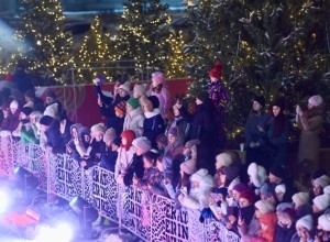Какие меры безопасности будут приняты в Свердловской области в новогодние праздники