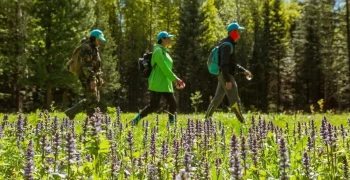 В Свердловской области полным ходом идет подготовка к летнему туристическому сезону  