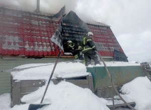 В коллективном саду в Кушве пожарные тушили огонь