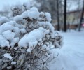Снегопады накроют Урал
