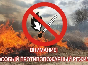 В Свердловской области введен строгий противопожарный режим