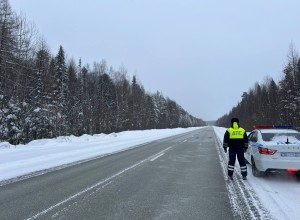 Профилактическое мероприятие «Безопасная дорога»