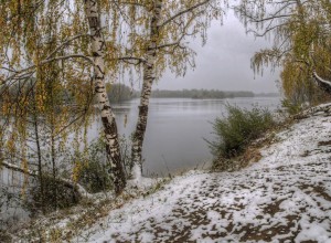 Теплый ноябрь в Свердловской области. 