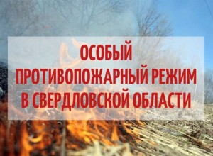 В Свердловской области с 25 апреля начнет действовать особый противопожарный режим 