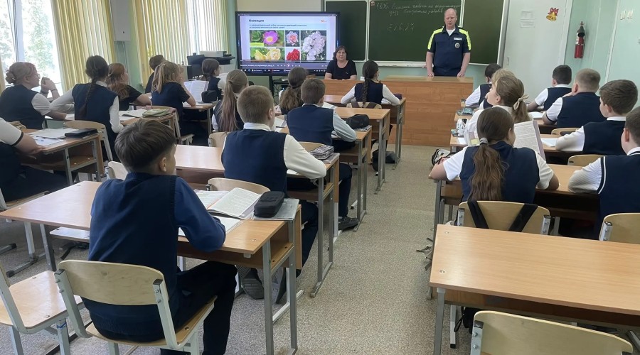 Безопасность дорожного движения