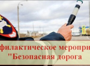 Оперативное профилактическое мероприятие «Безопасная дорога».
