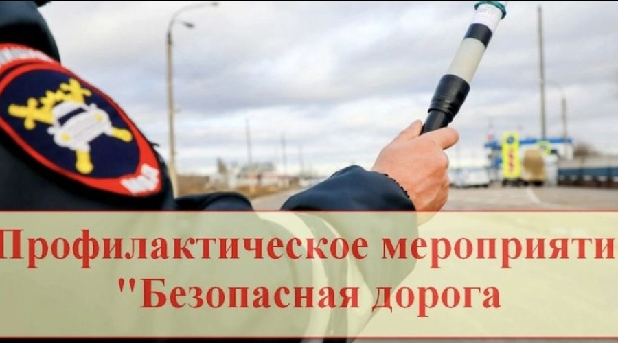 Оперативное профилактическое мероприятие «Безопасная дорога».