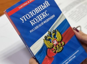 Госдума снизила до 14 лет возраст уголовной ответственности за диверсии