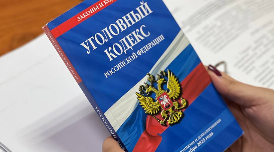 Госдума снизила до 14 лет возраст уголовной ответственности за диверсии