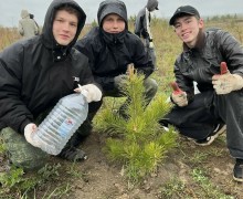 Сад Памяти в Верхней Туре 