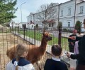 Первоклассное путешествие из Новой Ляли в Верхтурье