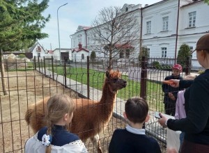 Первоклассное путешествие из Новой Ляли в Верхтурье