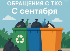 С 1 сентября запрещается складирование веток и листьев на территории контейнерной площадки