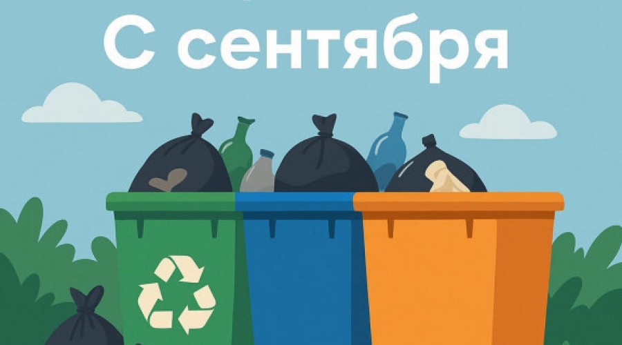 С 1 сентября запрещается складирование веток и листьев на территории контейнерной площадки