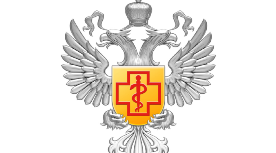 Рекомендации родителям: как собрать ребенка в загородный лагерь
